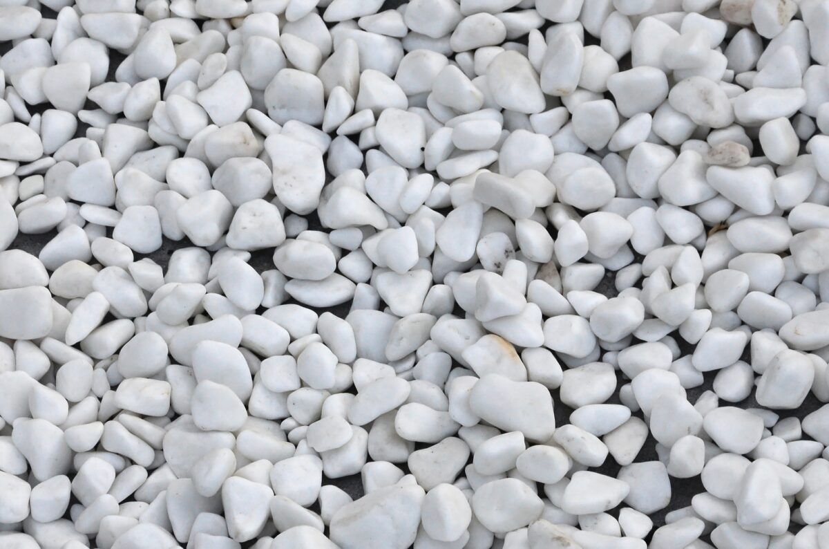 En hel del runda och ovala stenar av vit färg ligger på marken i trädgården